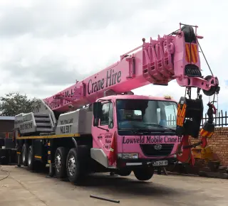 Picture of the Pink Lady crane